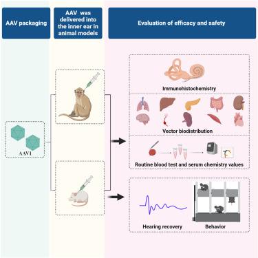 Research progress of bionic fog collection surfaces based on special  structures from natural organisms - RSC Advances (RSC Publishing)  DOI:10.1039/D3RA04253G