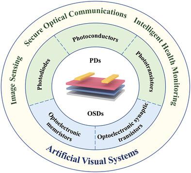 Optoelectronic Synapses And Photodetectors Based On Organic ...