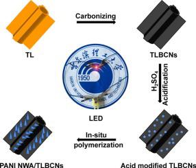 Polyaniline Nanowire Arrays On Biomass-derived Carbon Nanotubes With ...