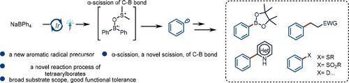 由二芳基硼基自由基生成的不稳定芳基自由基形成 C-B、C-C 和 C-X 键,ACS Central Science - X-MOL