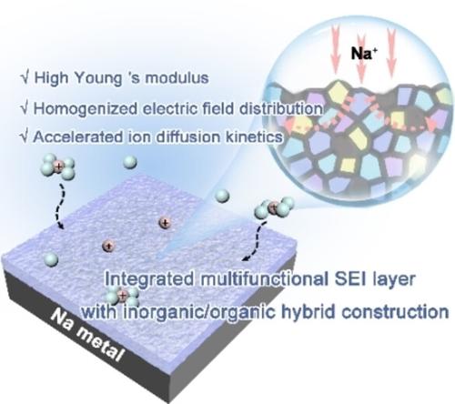 Inorganic–Organic Hybrid Multifunctional Solid Electrolyte Interphase ...