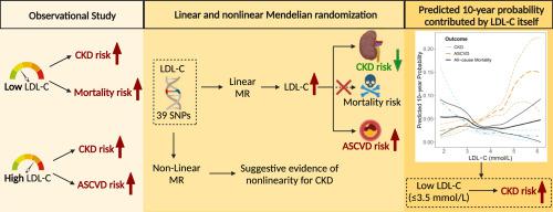 Investigating linear and nonlinear associations of ldl cholesterol with