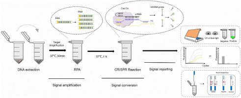 Enhancing ion mobility spectrometry performance through a