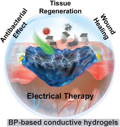 Black Phosphorus-Based Conductive Hydrogels Assisted By Electrical ...