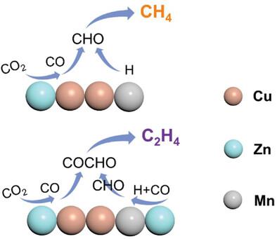 Tailoring the CO and H Coverage for Selective CO2