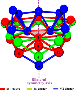 Electric field-driven up-and-down motion of the flexible tail of al13