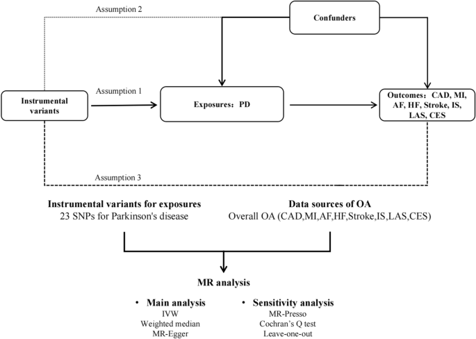 Relationship between parkinson’s disease and cardio-cerebrovascular