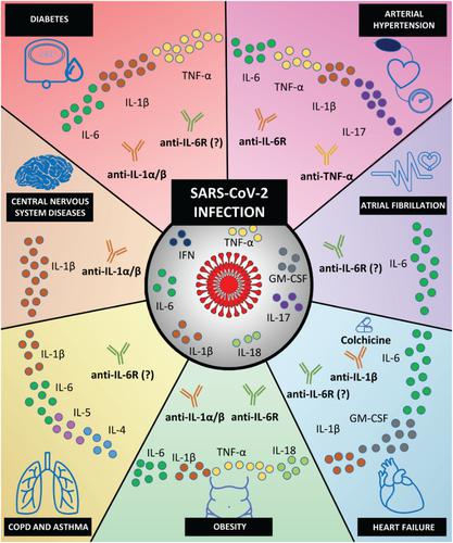 COVID-19 illness: Different comorbidities may require different ...