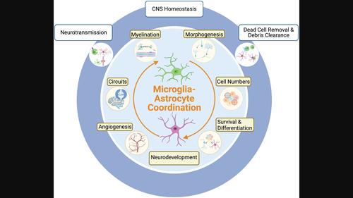 journal of neurochemistry期刊最新論文, 化學/材料, - x-mol