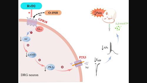 journal of neurochemistry期刊最新論文, 化學/材料, - x-mol