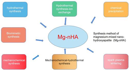 Synthesis Technology of Magnesium Doped Nanometer Hydroxyapatite