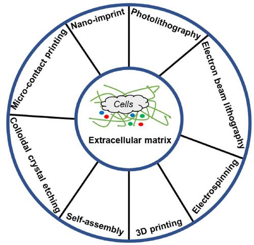 Fabrication Of Micro Nano Patterned Materials Mimicking The Topological