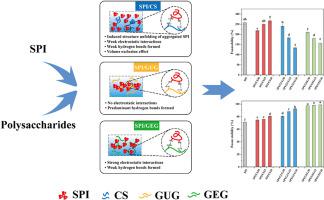 Characteristic Of The Interaction Mechanism Between Soy Protein Isolate ...