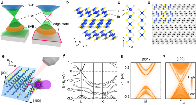 Topological Electronic Structure And Spin Texture Of Quasi One Dimensional Higher Order