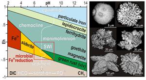 Authigenic minerals reflect microbial control on pore waters in a ...