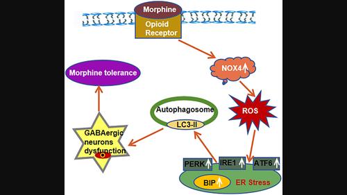 journal of neurochemistry期刊最新論文, 化學/材料, - x-mol