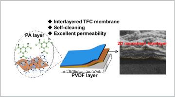 Dual 2D Nanosheets With Tunable Interlayer Spacing Enable High ...