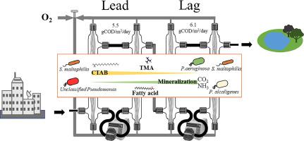 A Two-stage Design Enhanced Biodegradation of High Concentrations of a ...