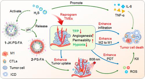 Smart Lipid Nanoparticle That Remodels Tumor Microenvironment For ...