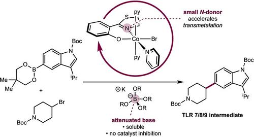 Phenoxythiazoline (FTz)-Cobalt(II) Precatalysts Enable C(sp2)–C(sp3 ...