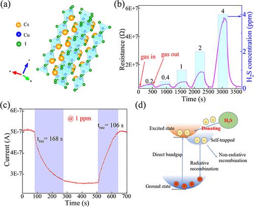 Highly Sensitive H2S Gas Sensor Based On A Lead-Free CsCu2I3 Perovskite ...