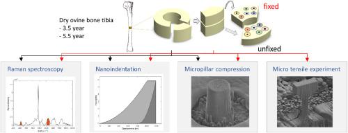 Does tissue fixation change the mechanical properties of dry ovine bone