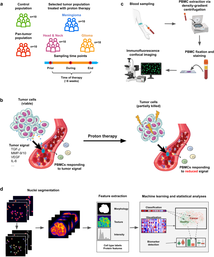 Imaging And AI Based Chromatin Biomarkers For Diagnosis And Therapy ...