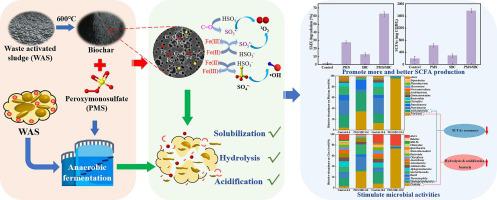 Fe3O4 enhanced efficiency of volatile fatty acids production in