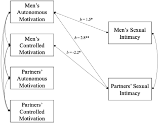 Motivation When Desire Is Low: Associations Between Sexual Motivation ...