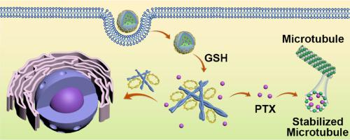 Suicide Gene Delivery By Morphology-Adaptable Enantiomeric Peptide ...