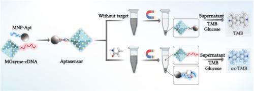 Detection Of Acrylamide In Food Based On MIL-glucose Oxidase Cascade ...