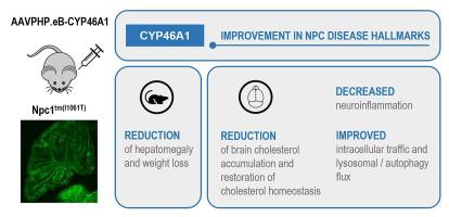 Cholesterol redistribution triggered by cyp46a1 gene therapy improves