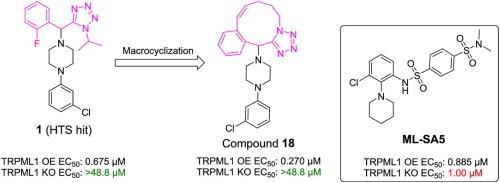 新型 Trpml1 激动剂的发现和表征,bioorganic & Medicinal Chemistry Letters - X-mol