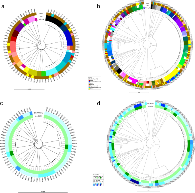 Within Host Genetic Diversity Of Extended Spectrum Beta Lactamase   10.1038 S41467 023 44285 W.PNG