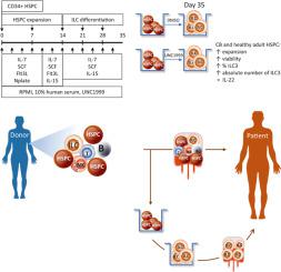 Generation of human ilc3 from allogeneic and autologous cd34