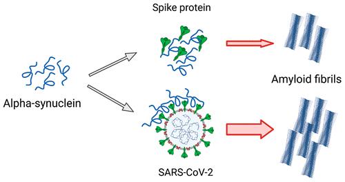 Sars-cov-2-mimicking pseudoviral particles accelerate α-synuclein