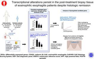 Persistent esophageal changes following histologic remission in