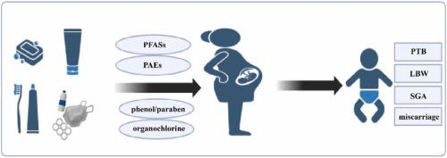 Influence Of Maternal Endocrine Disrupting Chemicals Exposure On