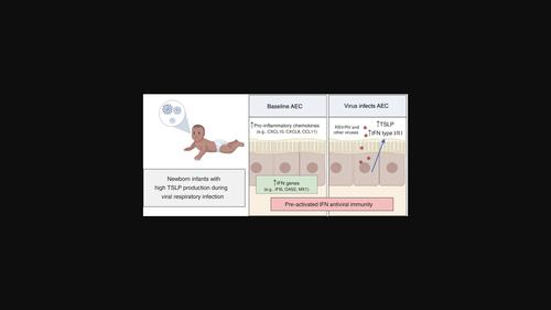 High tslp responses in the human infant airways are associated with pre