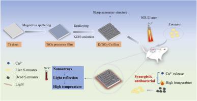 近红外Ⅱ光辅助含铜多孔TiO2涂层对抗种植体相关感染,Colloids And Surfaces B: Biointerfaces - X-MOL