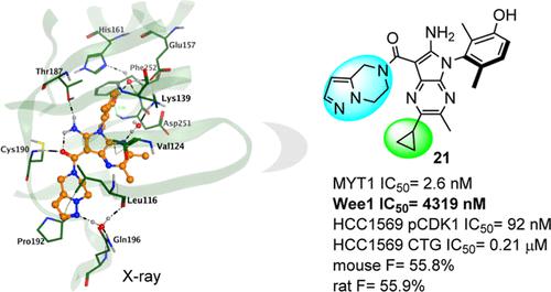 Discovery of tetrahydropyrazolopyrazine derivatives as potent and