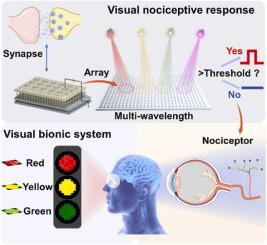 Multifunctional Optoelectronic Memristor Based On CeO2/MoS2 ...