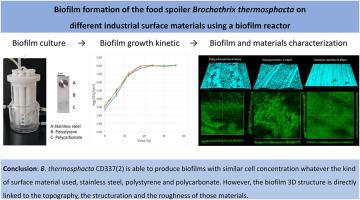 Biofilm formation of the food spoiler Brochothrix thermosphacta on ...