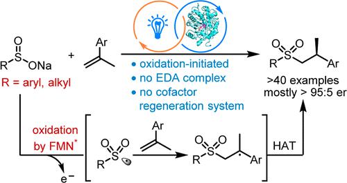 Single-Electron Oxidation-Initiated Enantioselective Hydrosulfonylation ...