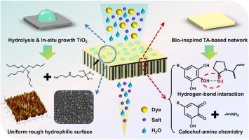 Hydrolysis co-deposition of bio-inspired hybrid hydrophilic network ...