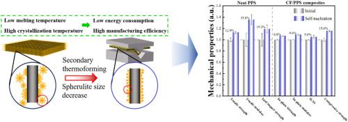 Exploring The Self-nucleation Effect: Transforming Crystalline ...