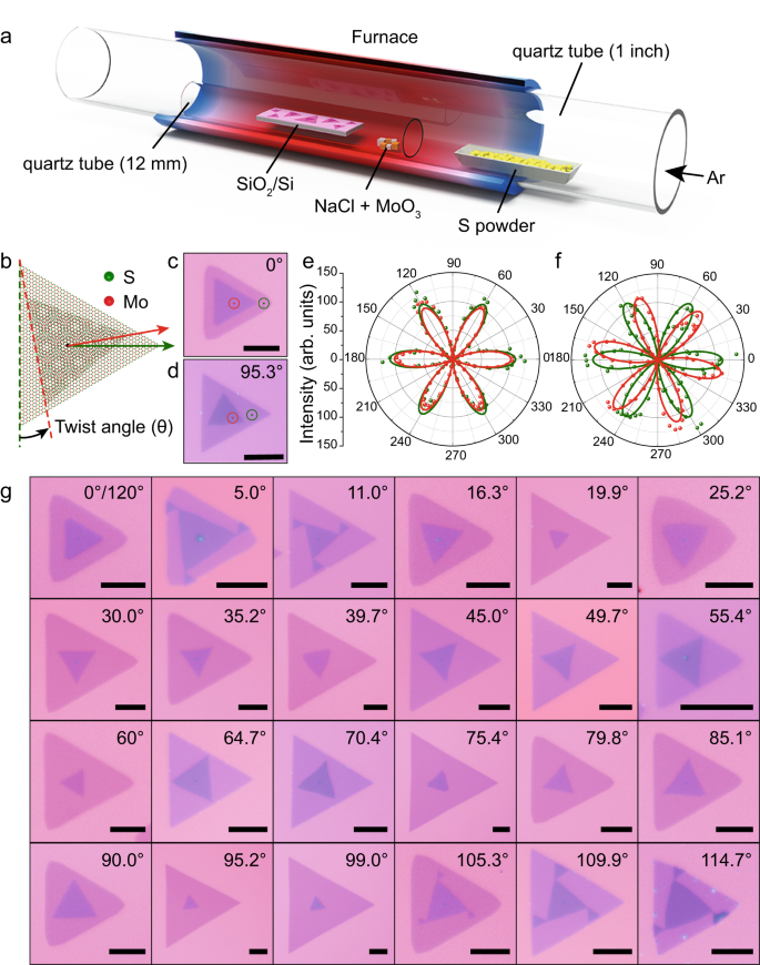 重构成核以实现具有宽范围扭转角的扭转双层 MoS2 的 CVD 生长,Nature Communications - X-MOL