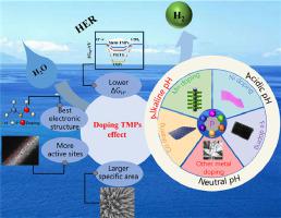 A Review With Transition Metal Phosphide Electrocatalysts In Hydrogen   10.1016 J.mcat.2024.113832 