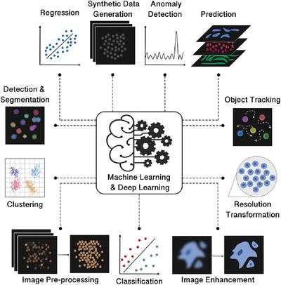 From Pixels To Insights: Machine Learning And Deep Learning For ...