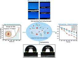 Mechanically Robust, Self-reporting And Healable Polyurethane ...